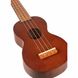 Укулеле Mahalo Kahiko Learn 2 Play UkuleleSet