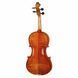 Акустическая скрипка Alfred Stingl by H&ouml;fner AS-190-V Violin Set 4/4