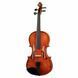 Акустическая скрипка Alfred Stingl by H&ouml;fner AS-190-V Violin Set 4/4