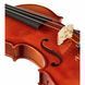 Акустична скрипка Roth & Junius Europe Student Violin Set 4/4