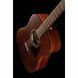 Акустична гітара Ibanez AW54-OPN