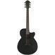 Акустична гітара Ibanez AEG621-BOT