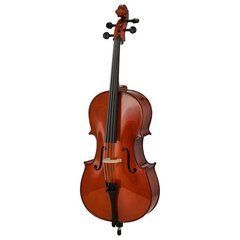 Віолончель Roth & Junius RJC Cello Set 1/8