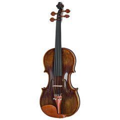 Акустическая скрипка Roth & Junius Preludio 01 Violin Set 4/4 BW