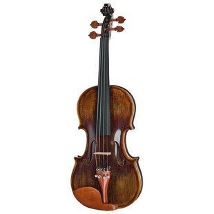 Акустична скрипка Roth & Junius Preludio 01 Violin Set 4/4 BW