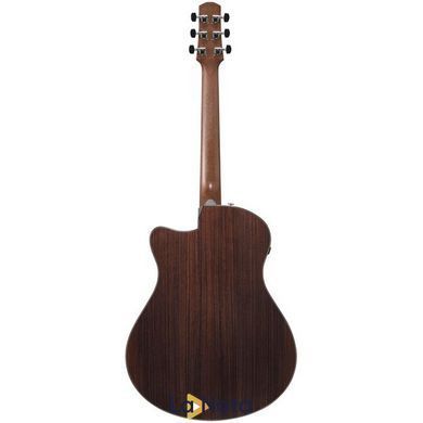 Акустична гітара Ibanez AAM380CE-NT
