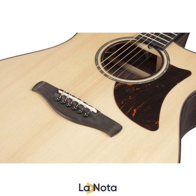 Акустична гітара Ibanez AAM380CE-NT