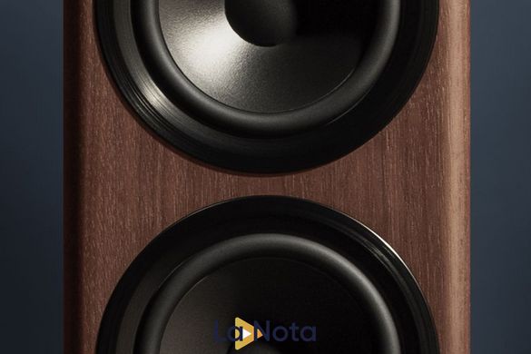 Підлогова акустика Dynaudio Focus 30 Walnut Wood