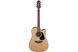 Електроакустична гітара Takamine GD10CE-NS