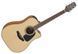 Електроакустична гітара Takamine GD10CE-NS