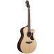 Акустична гітара Ibanez AAM380CE-NT