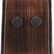 Акустична гітара Ibanez AAM380CE-NT