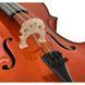 Віолончель Roth & Junius RJC Cello Set 1/8
