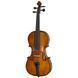 Акустична скрипка Gewa Georg Walther Violin GYA