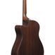 Акустична гітара Ibanez AAM380CE-NT