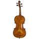 Акустична скрипка Gewa Georg Walther Violin GYA