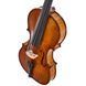 Акустична скрипка Gewa Georg Walther Violin GYA