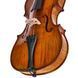 Акустична скрипка Gewa Georg Walther Violin GYA