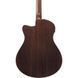 Акустична гітара Ibanez AAM380CE-NT