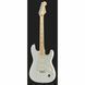Електрогітара Fender Player Series Stratocaster MN PWT