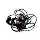 Наушники JH Audio Universal Jessie Black