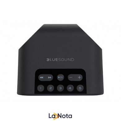 Моноблочна акустична система BlueSound Pulse flex Black