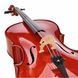 Віолончель Roth & Junius RJC Cello Set 3/4