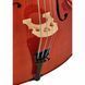 Віолончель Roth & Junius RJC Cello Set 3/4