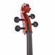 Віолончель Roth & Junius RJC Cello Set 3/4
