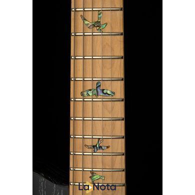 Електрогітара PRS SE NF 53 Black Doghair