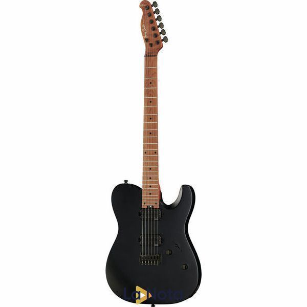 Harley Benton Fusion-T EMG HT Roasted SBK купить в интернет