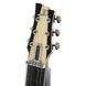 Електрогітара Duesenberg Fairytale Split/King Lapsteel