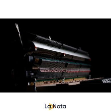 Цифрове піаніно Kawai Novus NV-5S, Чорний глянець