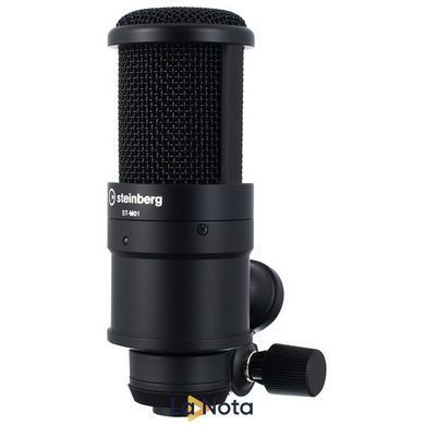 Комплект для звукозаписи Steinberg IXO 22 Recording Pack