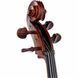 Віолончель Stentor SR1102 Cello Student I 1/2