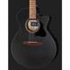Акустическая гитара Ibanez AE295-WK