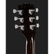 Електрогитара Gibson Les Paul Studio Session SmB