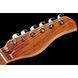 Електрогітара Larry Carlton T7 AWH