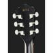Акустическая гитара Ibanez AE295-WK