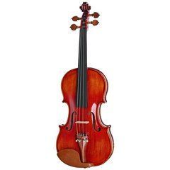 Акустическая скрипка Roth & Junius Preludio 03 Violin Set 4/4 BW