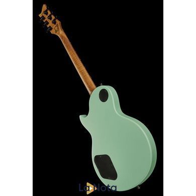 Електрогітара Harley Benton Agufish STD Signature SFG