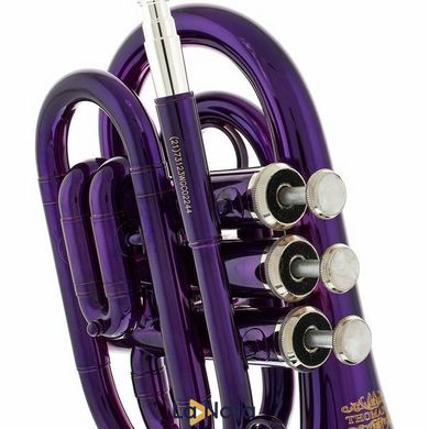 Труба Thomann TR 25 Bb-Pocket Trumpet Purple