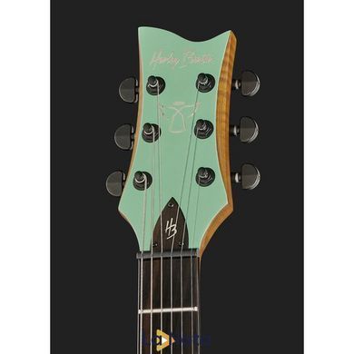 Електрогітара Harley Benton Agufish STD Signature SFG