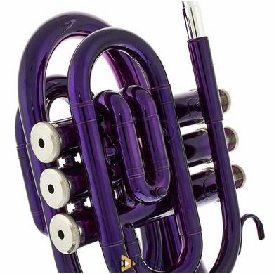 Труба Thomann TR 25 Bb-Pocket Trumpet Purple