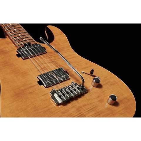 Harley Benton Fusion-T HH Roasted купить в интернет-магазине LaNota
