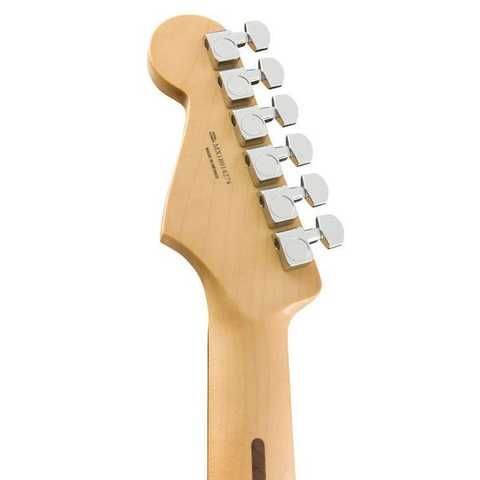 Fender Player Series Stratocaster PF купить в интернет-магазине LaNota