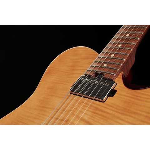 Harley Benton Fusion-T HH Roasted купить в интернет-магазине LaNota