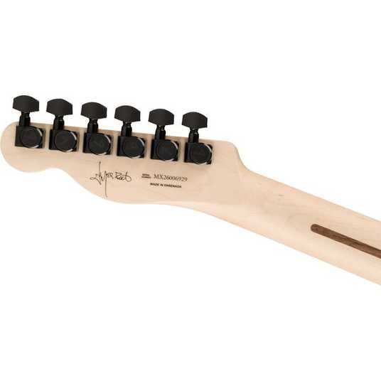 Електрогітара Fender Jim Root Telecaster EB SHG купити в інтернет