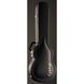 Електрогітара Epiphone Nancy Wilson Fanatic Fireburst