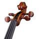 Акустична скрипка Stentor SR1400 Violinset 3/4